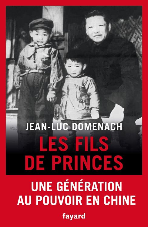 Produktbild: Les fils de princes
