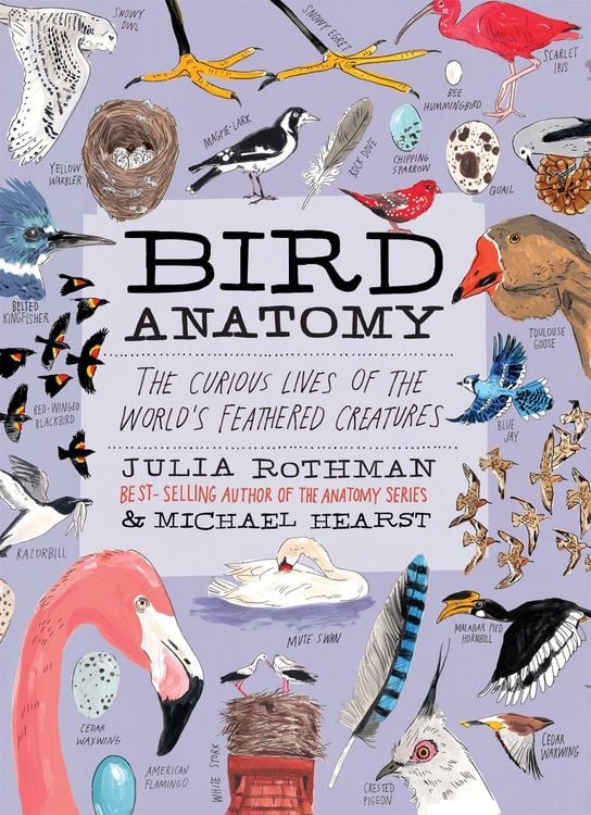 Produktbild: Bird Anatomy