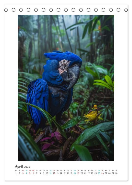 Produktbild: Exotische Sch&ouml;nheiten - pr&auml;chtig bunte V&ouml;gel (Tischkalender 2026 DIN A5 hoch), CALVENDO Monatskalender