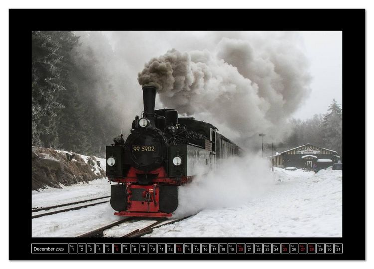 Produktbild: Steam Experience (Wall Calendar 2026 DIN A4 landscape), CALVENDO 12 Month Wall Calendar