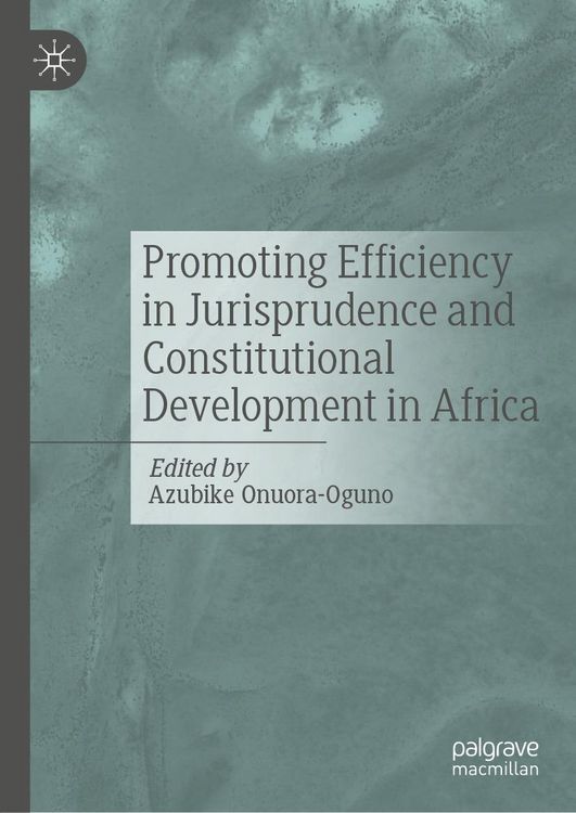 Produktbild: Promoting Efficiency in Jurisprudence and Constitutional Development in Africa