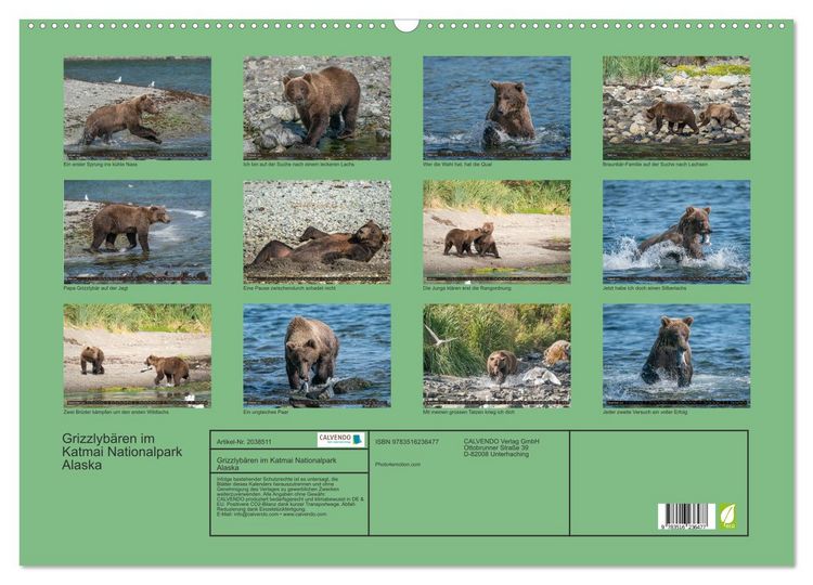 Produktbild: Grizzlyb&auml;ren im Katmai Nationalpark Alaska (Wandkalender 2026 DIN A2 quer), CALVENDO Monatskalender