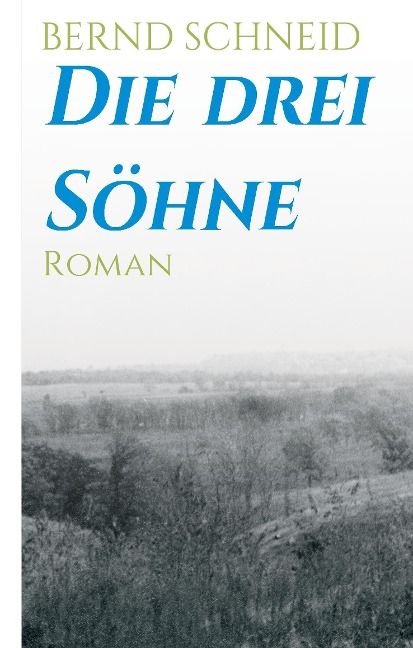 Produktbild: Die drei S&ouml;hne