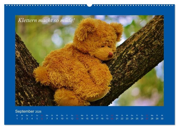 Produktbild: Sommer im Teddy-Land. B&auml;r und Freunde (Wandkalender 2026 DIN A2 quer), CALVENDO Monatskalender