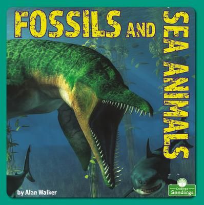 Produktbild: Fossils and Sea Animals