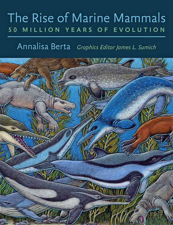 Produktbild: Rise of Marine Mammals