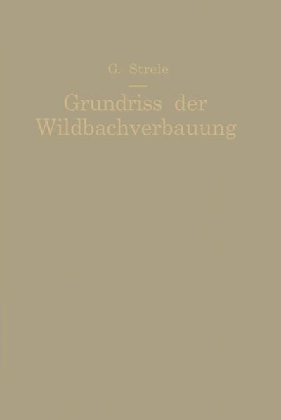 Produktbild: Grundri&szlig; der Wildbachverbauung
