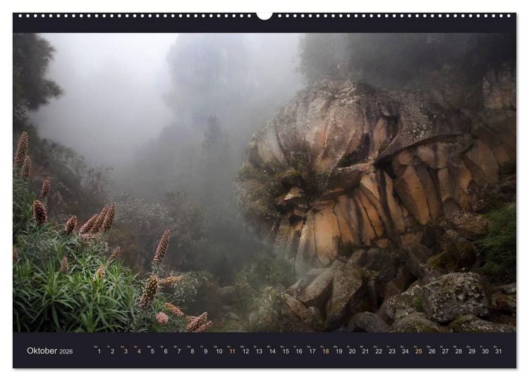 Produktbild: wildes Teneriffa (hochwertiger Premium Wandkalender 2026 DIN A2 quer), Kunstdruck in Hochglanz