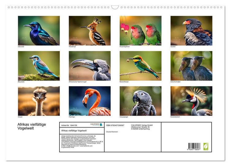 Produktbild: Afrikas vielf&auml;ltige Vogelwelt (Wandkalender 2026 DIN A2 quer), CALVENDO Monatskalender