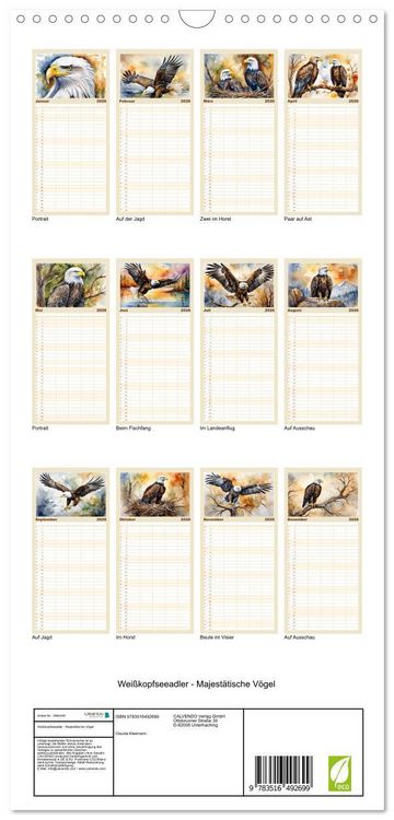 Produktbild: Familienplaner 2026 - Wei&szlig;kopfseeadler - Majest&auml;tische V&ouml;gel mit 5 Spalten (Wandkalender, 21 x 45 cm) CALVENDO