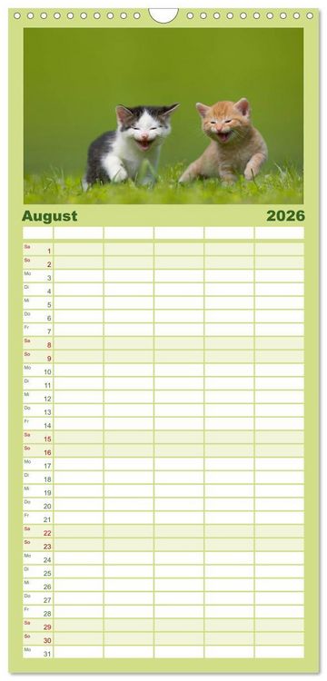 Produktbild: Familienplaner 2026 - L&auml;chelnd durchs Jahr - Katzenkinder -Familienplaner hoch mit 5 Spalten (Wandkalender, 21 x 45 cm) CALVENDO