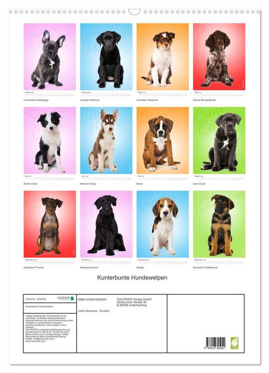 Produktbild: Kunterbunte Hundewelpen (Wandkalender 2026 DIN A2 hoch), CALVENDO Monatskalender