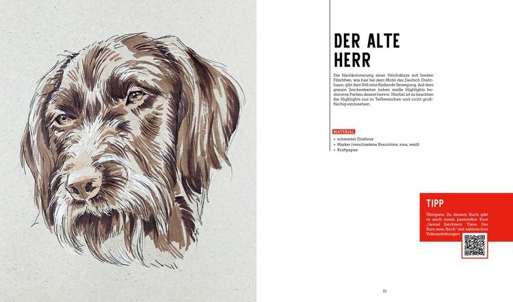 Produktbild: Tiere zeichnen &ndash; Das XXL-Starter-Set: Zwei B&uuml;cher im Bundle