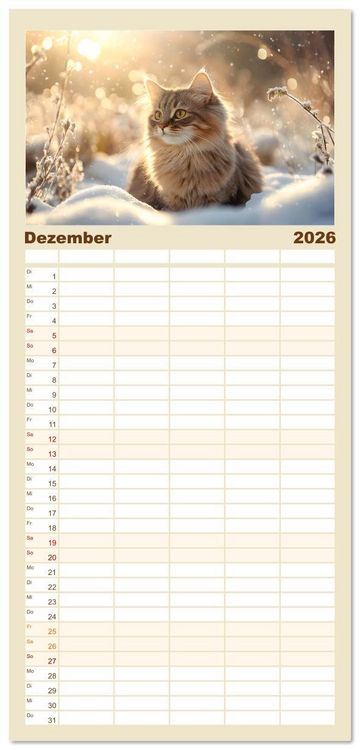 Produktbild: Familienplaner 2026 - Katzen - sanfte Sch&ouml;nheiten mit 5 Spalten (Wandkalender, 21 x 45 cm) CALVENDO