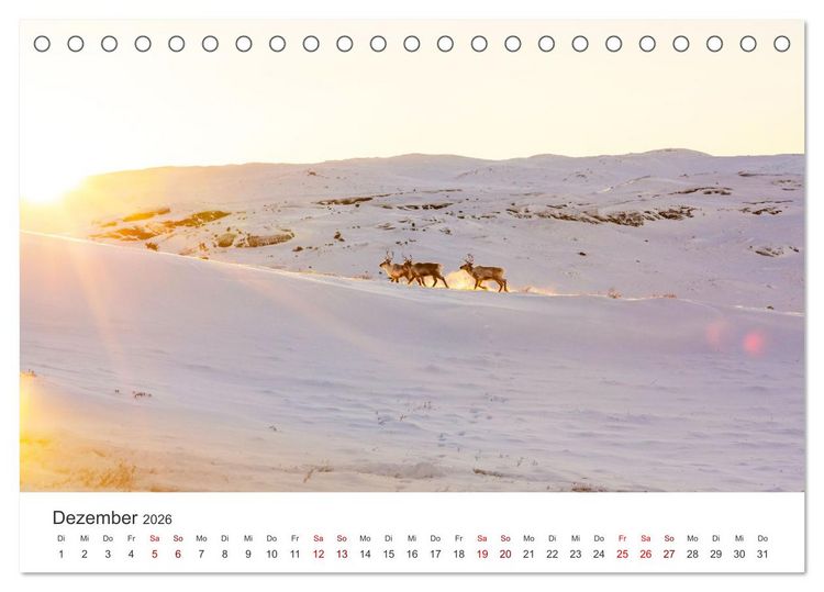 Produktbild: Zwischen den Eisbergen in Gr&ouml;nland (Tischkalender 2026 DIN A5 quer), CALVENDO Monatskalender