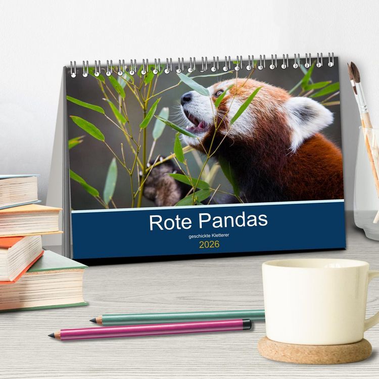 Produktbild: Rote Pandas - geschickte Kletterer (Tischkalender 2026 DIN A5 quer), CALVENDO Monatskalender