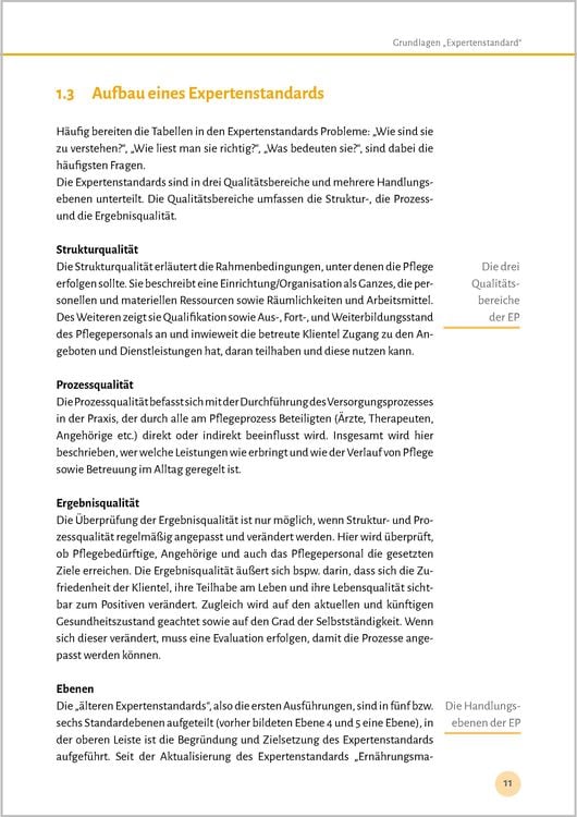 Produktbild: Expertenstandards leicht gemacht