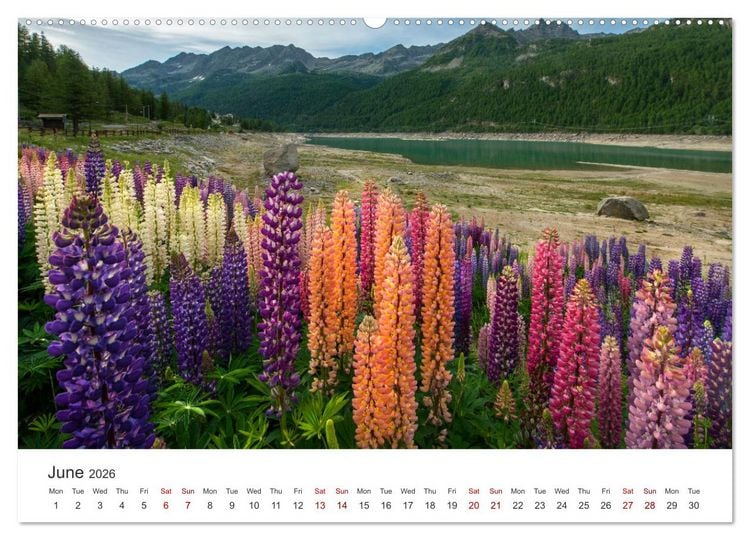Produktbild: Aosta Valley and its nature (Wall Calendar 2026 DIN A2 landscape), CALVENDO 12 Month Wall Calendar