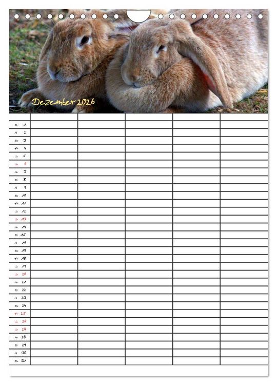 Produktbild: Bauernhoftiere Familienplaner (Wandkalender 2026 DIN A4 hoch), CALVENDO Monatskalender