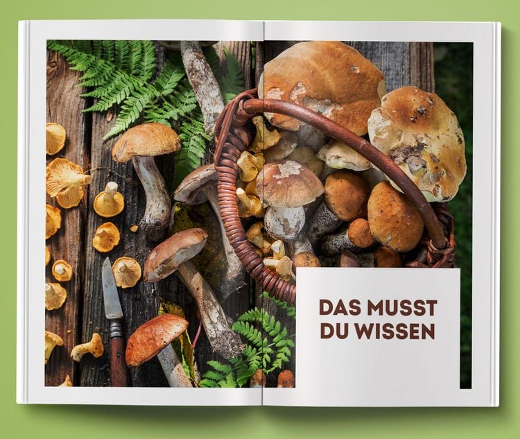 Produktbild: Unbekannte Leckereien: 30 Pilzarten, deren Geschmack dich &uuml;berraschen wird