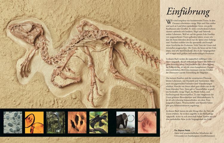 Wissen für clevere Kids. Dinosaurier und andere Tiere der Urzeit für clevere Kids