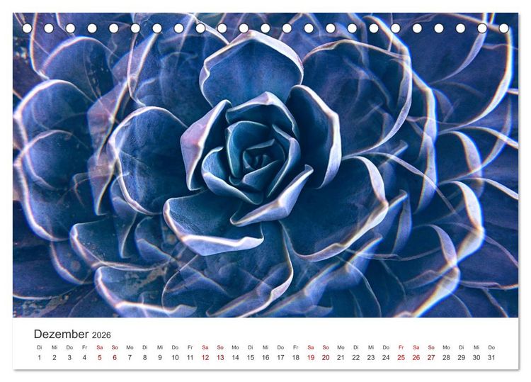 Produktbild: ZEN - Eine Reise zu sich selbst (Tischkalender 2026 DIN A5 quer), CALVENDO Monatskalender