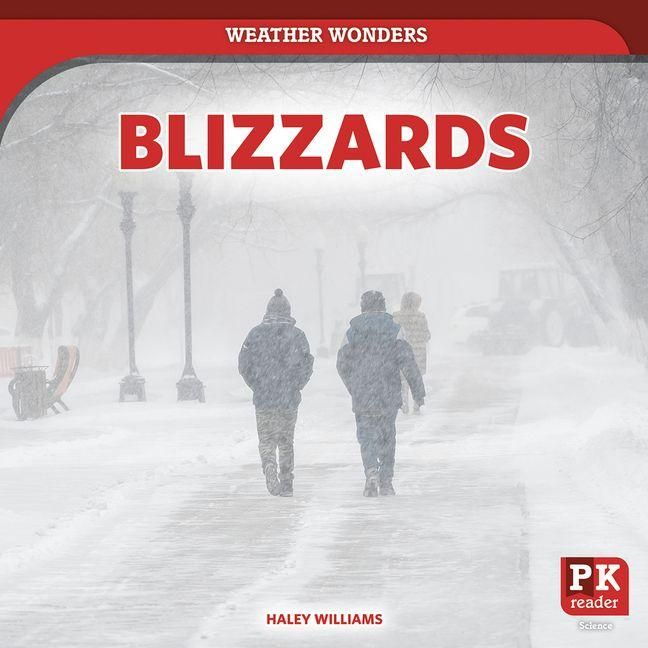 Produktbild: Blizzards