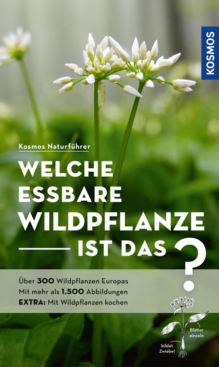 Produktbild: Welche essbare Wildpflanze ist das?