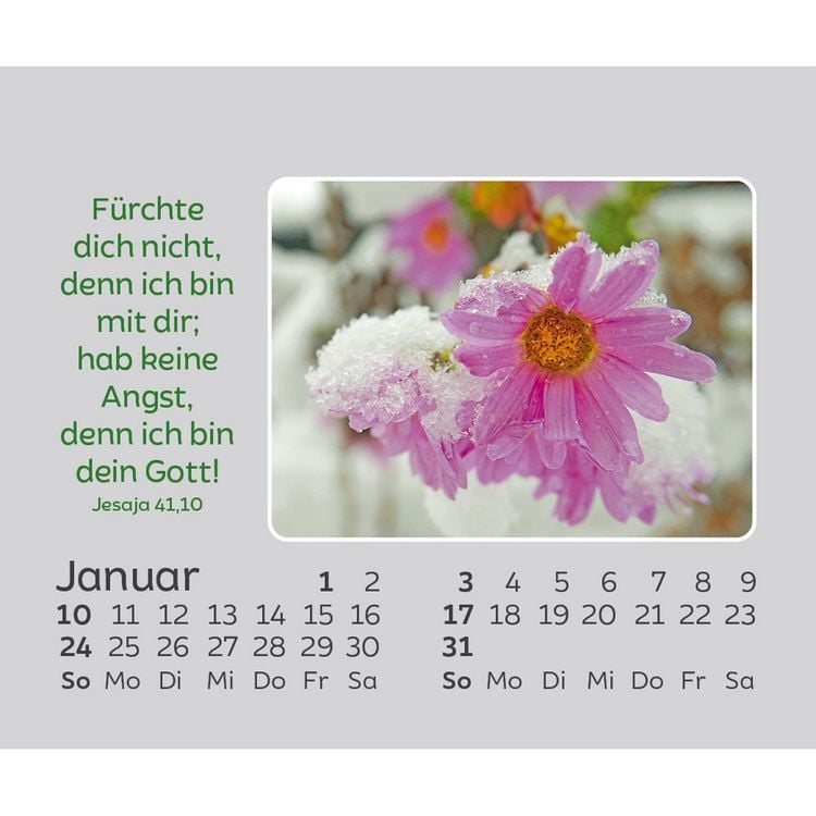 Produktbild: Freude f&uuml;r jeden Tag 2027