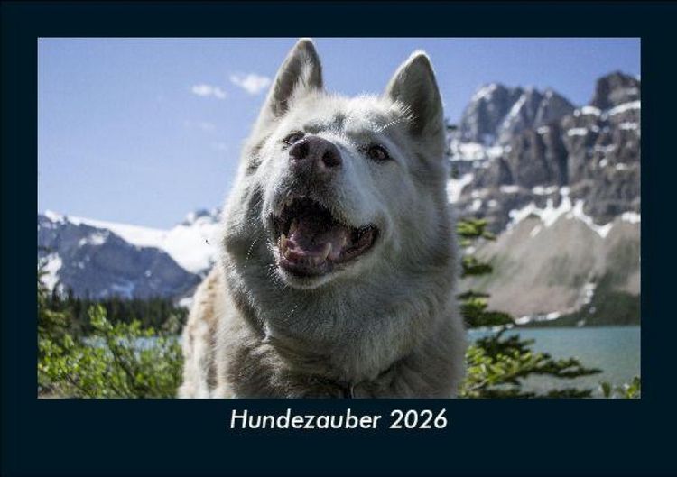 Produktbild: Hundezauber 2026 Fotokalender DIN A5