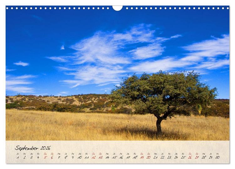 Produktbild: Mexiko - Bunte Vielfalt in Stadt und Land (Wandkalender 2026 DIN A3 quer), CALVENDO Monatskalender