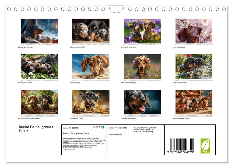 Produktbild: Kleine Beine, gro&szlig;es Gl&uuml;ck (Wandkalender 2027 DIN A4 quer), CALVENDO Monatskalender