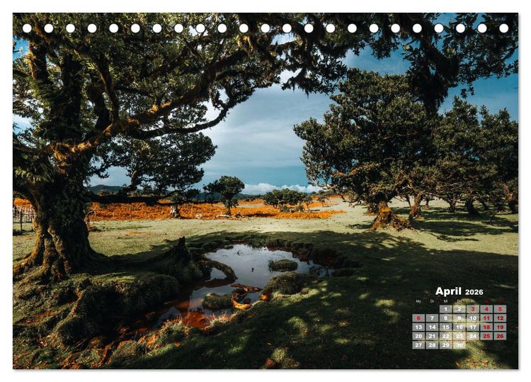 Produktbild: Trauminsel Madeira (Tischkalender 2026 DIN A5 quer), CALVENDO Monatskalender