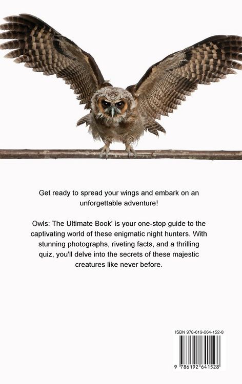 Produktbild: The Ultimate Owl Book for Kids
