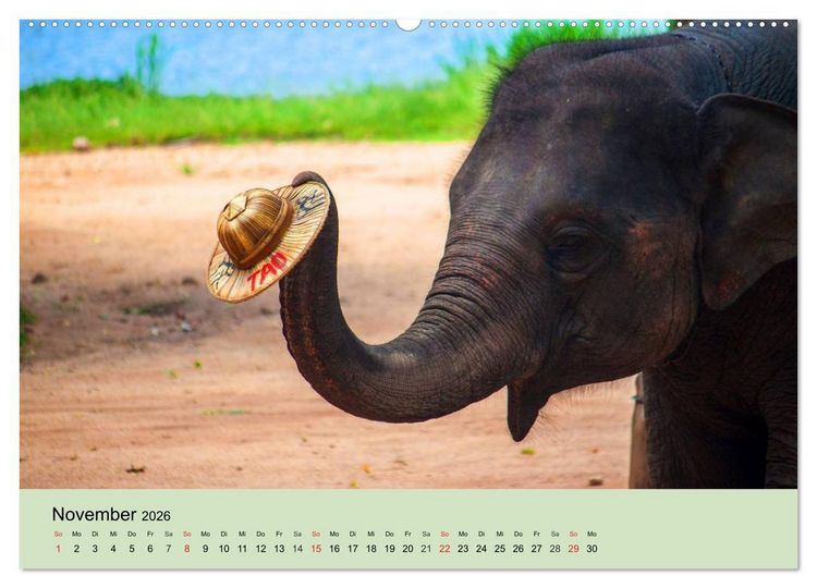 Produktbild: Elefanten. Badespa&szlig; am Strand (Wandkalender 2026 DIN A2 quer), CALVENDO Monatskalender