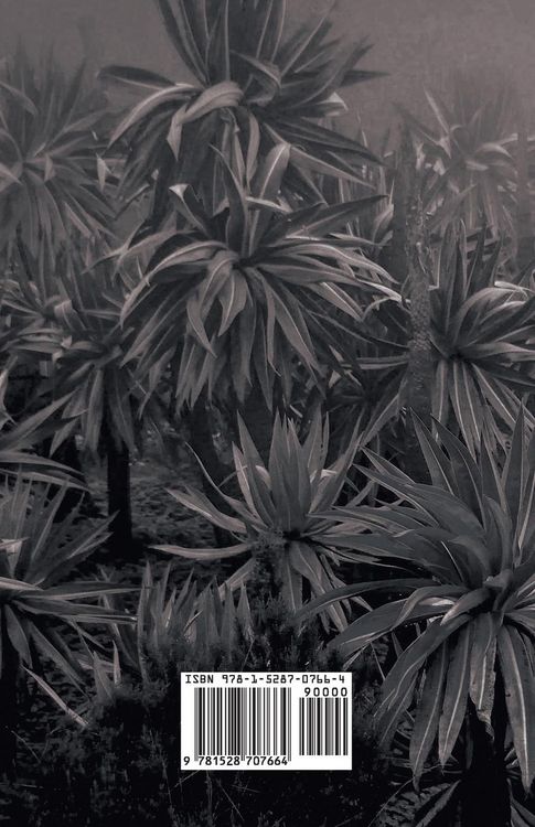 Produktbild: Khont-Hon-Nofer - The Lands of Ethiopia