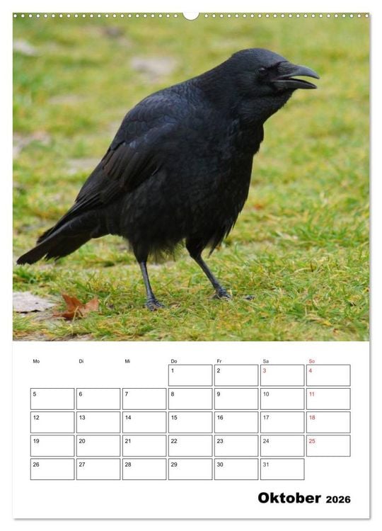 Produktbild: Rabenv&ouml;gel Terminplaner (hochwertiger Premium Wandkalender 2026 DIN A2 hoch), Kunstdruck in Hochglanz
