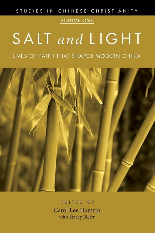 Produktbild: Salt and Light, Volume 1