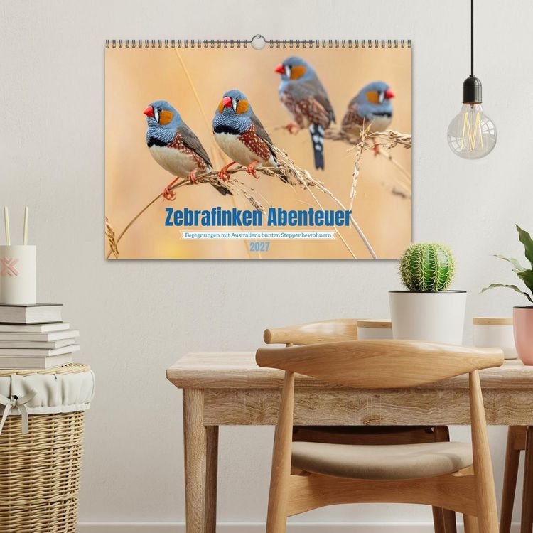 Produktbild: Zebrafinken Abenteuer (Wandkalender 2027 DIN A3 quer), CALVENDO Monatskalender