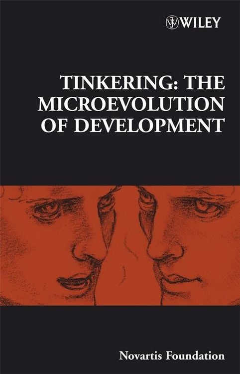 Produktbild: Tinkering