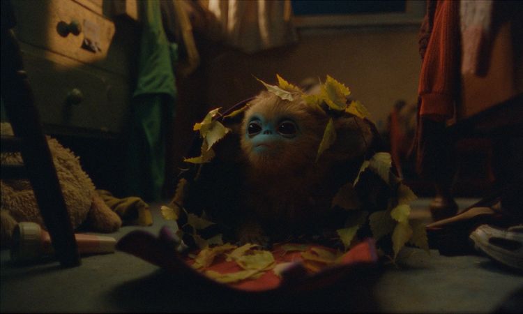 Produktbild: Die Legende von Ochi - Mediabook (4K-UHD + Blu-ray)