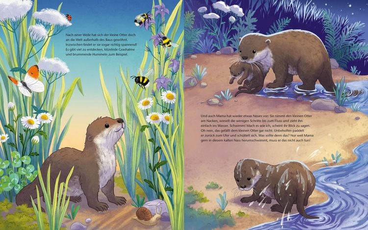 Produktbild: Der kleine Otter - Zu Hause in den Fl&uuml;ssen Europas