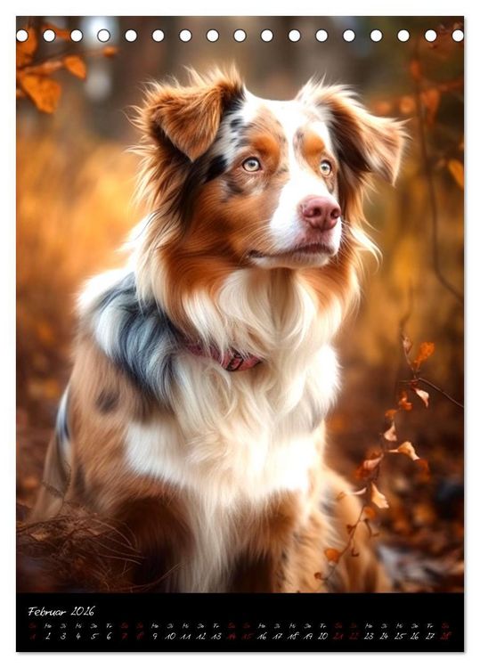 Produktbild: Australian Shepherd (Tischkalender 2026 DIN A5 hoch), CALVENDO Monatskalender