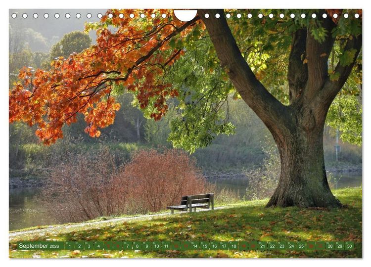 Produktbild: Sch&ouml;ne Aussichten B&auml;nke zum Verweilen (Wandkalender 2026 DIN A4 quer), CALVENDO Monatskalender