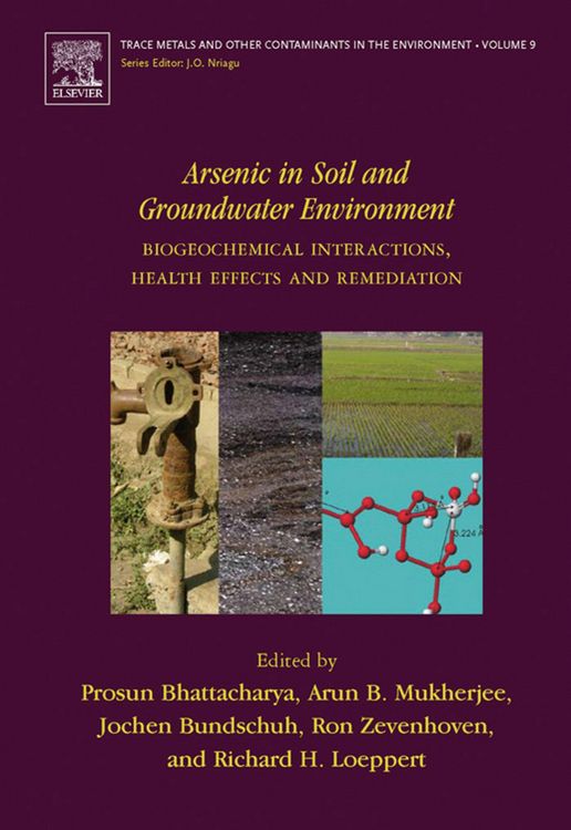 Produktbild: Arsenic in Soil and Groundwater Environment