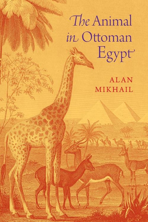 Produktbild: The Animal in Ottoman Egypt