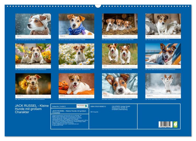 Produktbild: JACK RUSSEL - Kleine Hunde mit gro&szlig;em Charakter (Wandkalender 2026 DIN A2 quer), CALVENDO Monatskalender