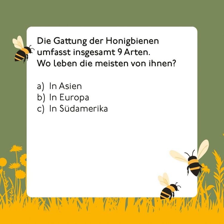 Produktbild: Bienen-Quiz
