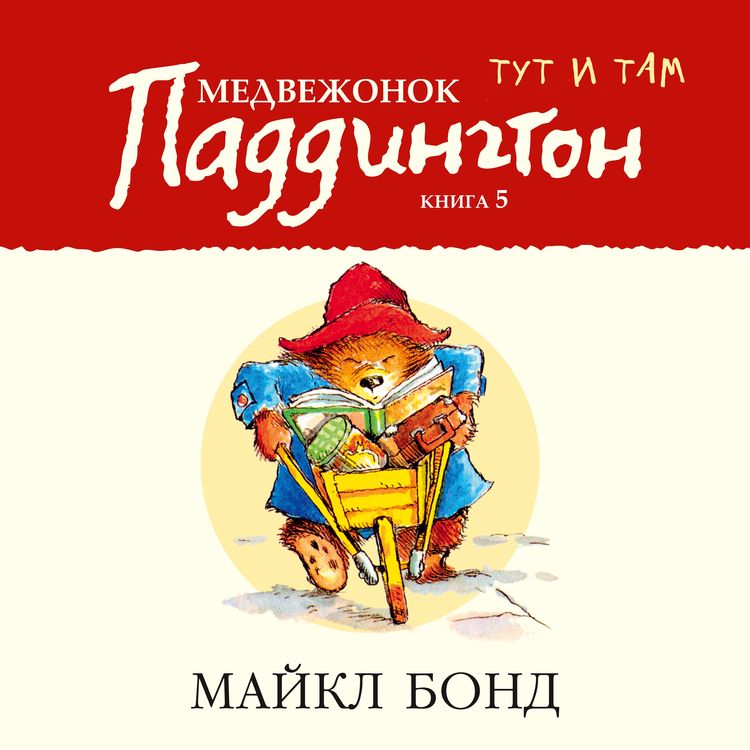 Produktbild: PADDINGTON AT LARGE