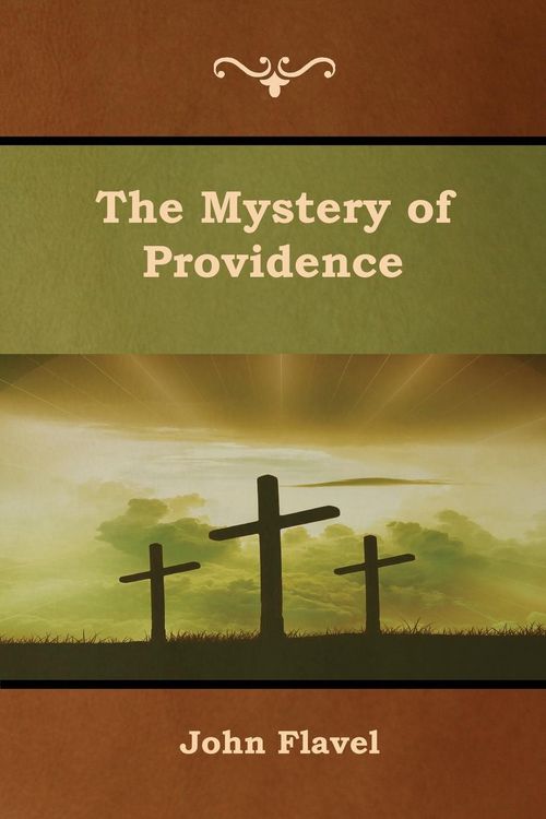 Produktbild: The Mystery of Providence